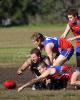 Muddy Bulldogs keep finals hopes alive